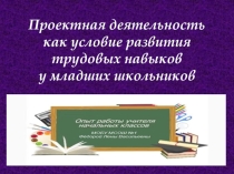 Презентация Проектная деятельность как условие развития трудовых навыков у младших школьников