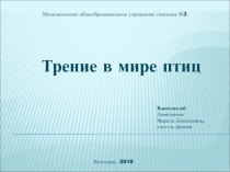 Презентация по физике на тему Трение в мире птиц ( 7 класс)