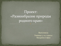Детский проект по окружающему миру на тему Красота родного края