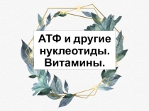 Презентация по биологии АТФ и другие нуклеотиды 10 класс.