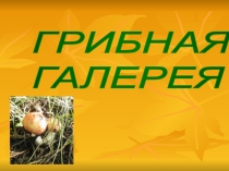 Грибная галерея