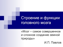 Презентация по биологии на тему Строение и функции головного мозга