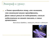 Презентация по биологии на тему Основы генетики (9 класс)