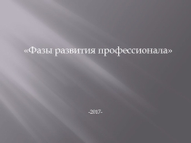 Презентация по психологии на тему Фазы развития профессионала