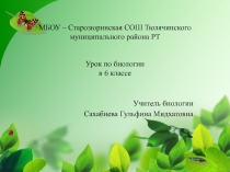 Плоды