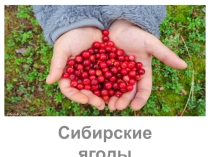 Презентация по теме северные ягоды