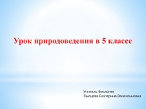 Презентация по природоведению на тему