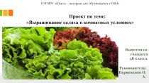 Исследовательская работа Выращивание салата в домашних условиях