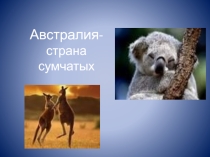 Презентация по окружающему миру Путешествие по Америке (3 класс)