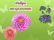 Плотоядные растения. Презентация по ним и описание