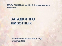 Презентация Загадки про животных