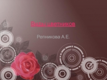 Презентация по Цветоводству и декоративному садоводству Виды цветников