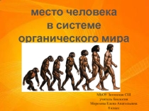 Презентация по биологии место человека в системе органического мира