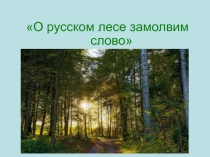 О русском лесе замолвим слово
