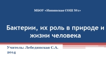 Презентация по биологии на тему Бактерии, их роль в природе и жизни человека
