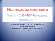 Исследовательский проект Зрение - подарок пророды