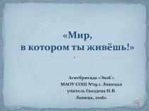 Презентация к выступлению агитбригады на тему: Мир, в котором ты живешь!