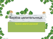Исследовательский проект - презенация