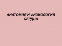 Презентация к лекции по анатомии и физиологии человека Анатомия и физиология сердца