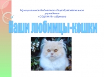 Презинтация проекта Домашние животные