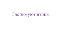 Презентация по окружающему миру Где зимуют птицы 1 класс