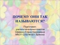 Презентация к уроку окружающего мира Почему они так называются?