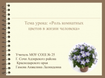 Презентация к уроку технологии по теме:Роль комнатных растений в жизни человека.