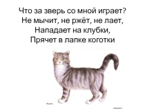 Презентация к оод повествовательный рассказ о домашних животных