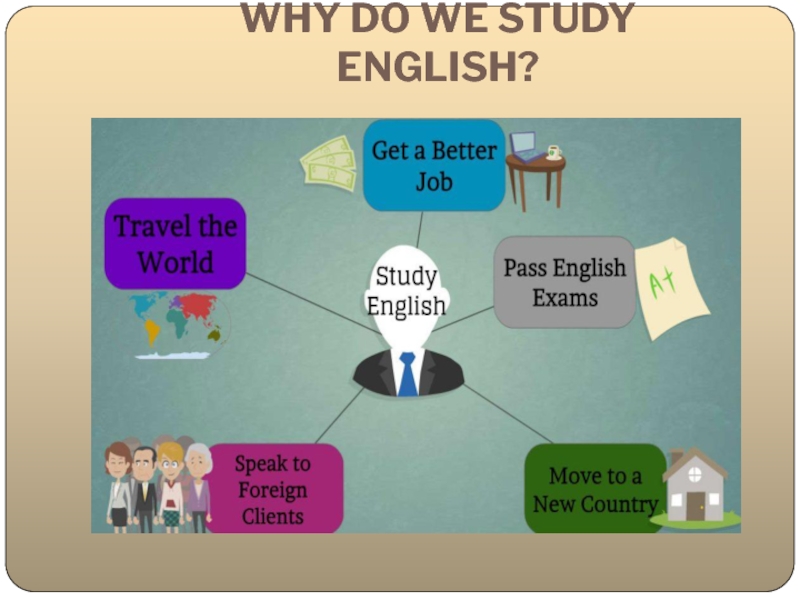 Глобализация английского языка и его влияние на русский язык WHY DO WE STUDY ENGLISH? WHY DO WE STUDY ENGLISH?