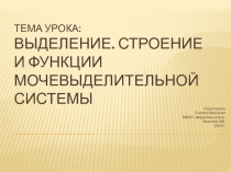 Выделение. Строение и функции мочевыделительной системы.