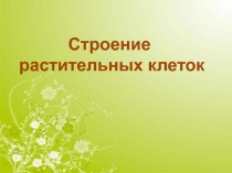 Презентация Строение растительной клетки