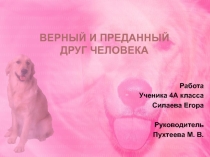 Научная работа по теме: Мой верный и преданный друг