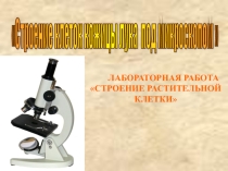 Презентация по биологии Строение клетки 5 класс
