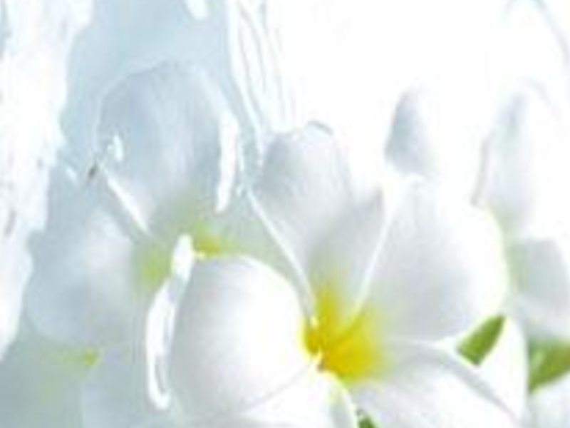 Цветотерапия