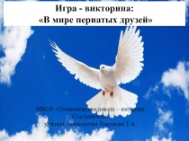 Презентация: В мире пернатых друзей