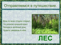 Презентация по окружающему миру на тему Какие бывают растения (3 класс)