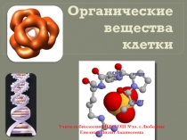 Разработка урока по теме: Органические вещества клетки