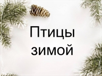 Презентация кормушки для птиц Птицы зимой