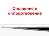 Презентация по биологии на тему Опыление и оплодотворение коррекционная школа VIII вида