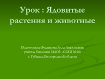 Презентация по биологии на тему Ядовитые растения и животные (5 класс)
