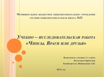 Презентация по валеологии Чипсы. Враги или друзья