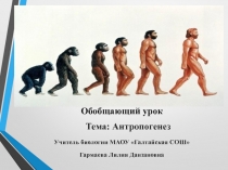 Презентация к обобщающему уроку Антропогенез 11 класс Биология