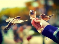 Презентация внеклассного мероприятия Дорогою добра