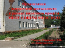 Презентация Организация внеурочной деятельности