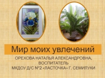 Презентация Мир моих увлечений