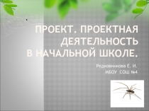 Проектная деятельность в начальной школе