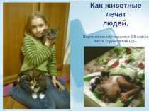 Презентация по окружающему миру на тему Как животные лечат людей