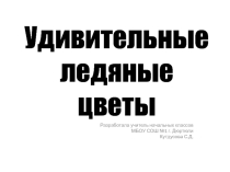 Презентация к уроку технологии Удивительные ледяные цветы