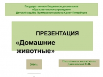 Презентация Домашние животные для средней группы