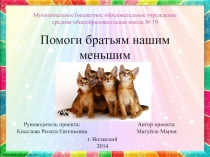 Проект Помоги братьям нашим меньшим